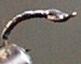 buzzben25.jpg (5122 bytes)